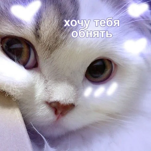 Эмодзи я люблю тебя!!
