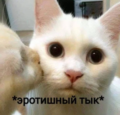 Эмодзи я люблю тебя!!