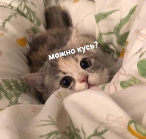 Эмодзи я люблю тебя!!
