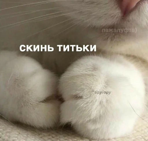 Эмодзи я люблю тебя!!