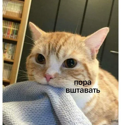 Эмодзи я люблю тебя!!