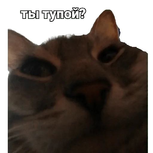 Эмодзи чиф киф