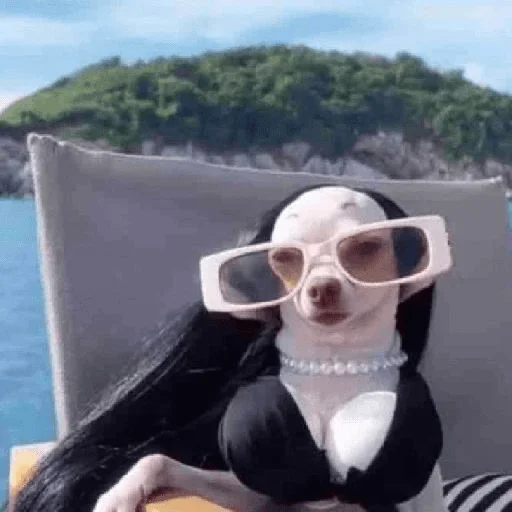 Эмодзи Dogs memes