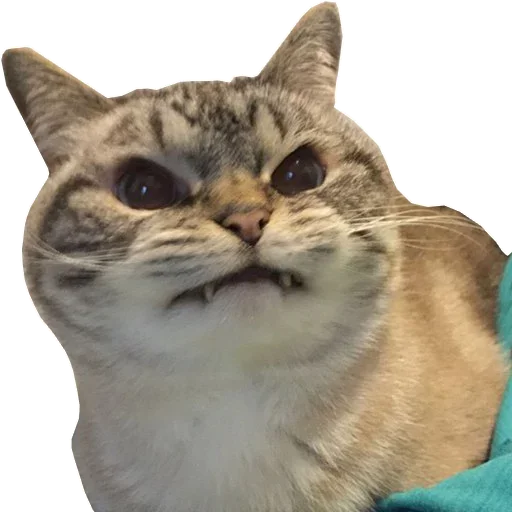 ?