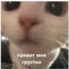 Эмодзи I found some memes