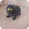 🐈
