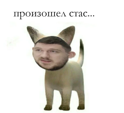 Эмодзи СТАС
