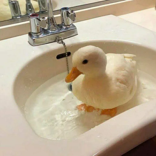 Эмодзи Animali