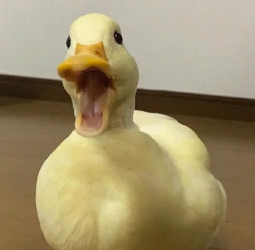 Эмодзи Animali