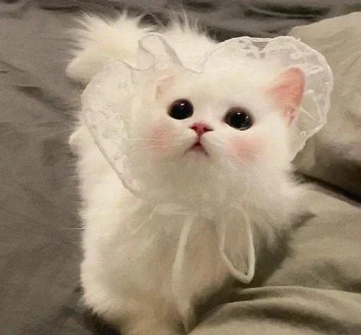 Эмодзи white 3