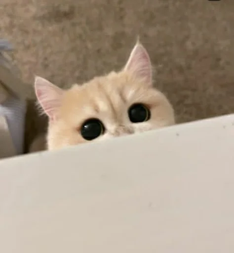 Эмодзи sweet pussy