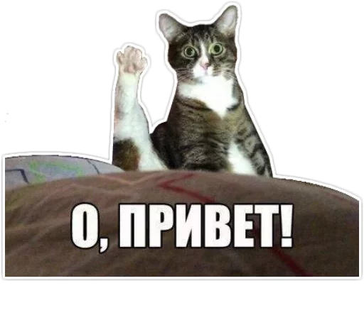 Эмодзи isarooted