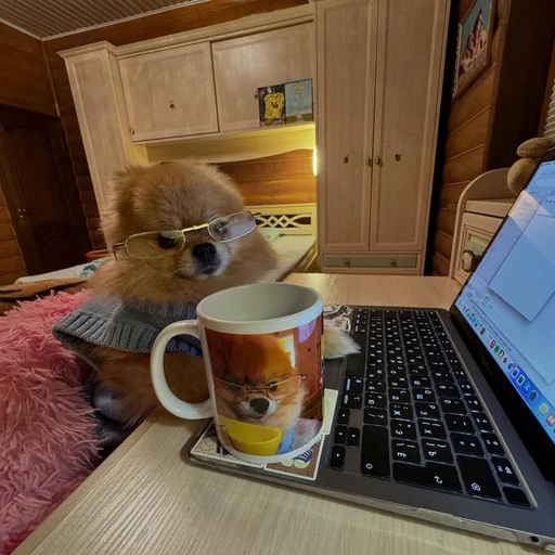 Эмодзи Котики