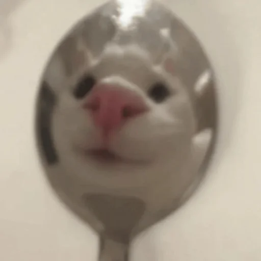 Эмодзи Котики