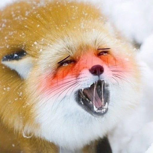 Эмодзи Лисички