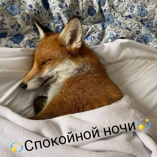 Эмодзи Лисички