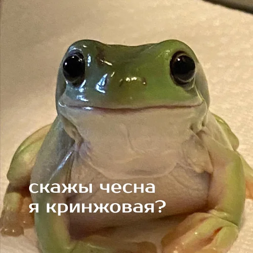 Эмодзи Легущьки «Горящей избы» 🐸🔥