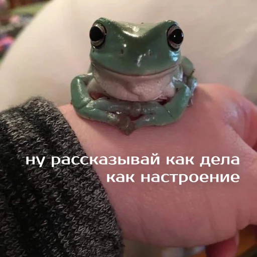 Эмодзи Легущьки «Горящей избы» 🐸🔥