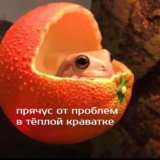 Эмодзи Легущьки «Горящей избы» 🐸🔥