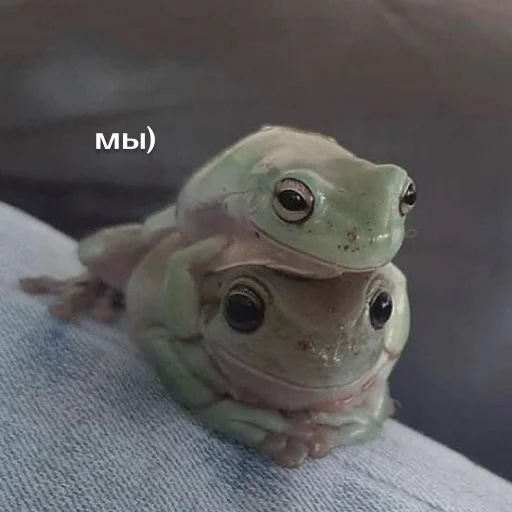 Эмодзи Легущьки «Горящей избы» 🐸🔥