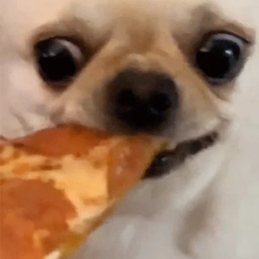 Эмодзи Джеки Чан