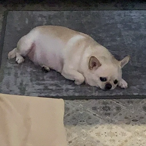 Эмодзи Джеки Чан