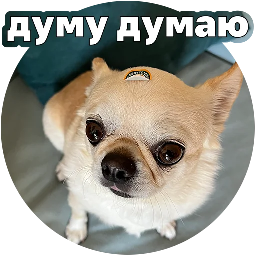 Эмодзи Джеки Чан