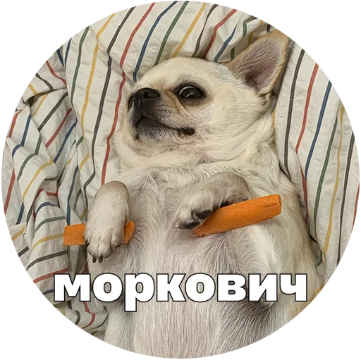 Эмодзи Джеки Чан