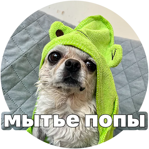 Эмодзи Джеки Чан