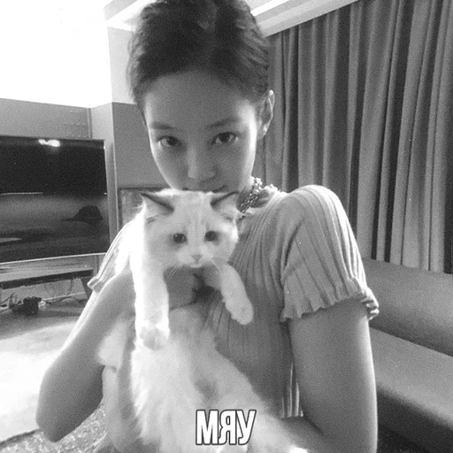 Эмодзи дженни чб