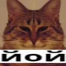 Эмодзи йой, най буде