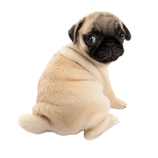 🥺