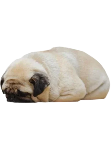 Эмодзи Dogs