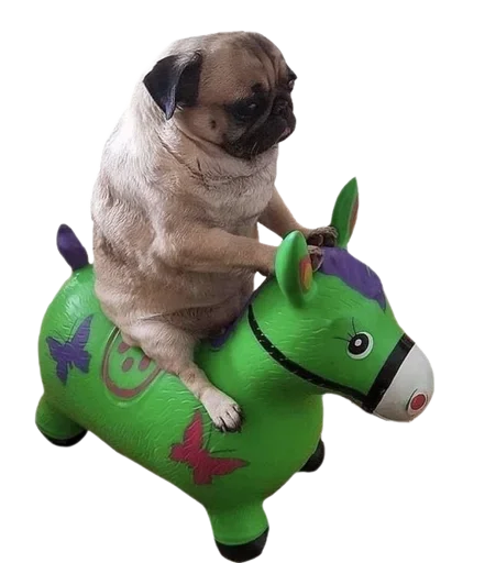 Эмодзи Dogs