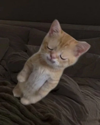Эмодзи котики