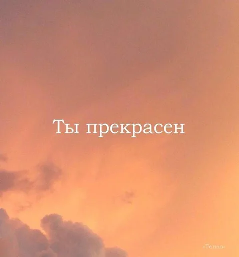 Эмодзи kami🌸