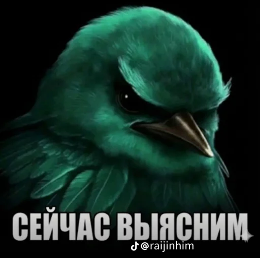 Эмодзи Блотные и крутые птички🏳️