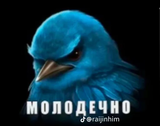 Эмодзи Блотные и крутые птички🏳️