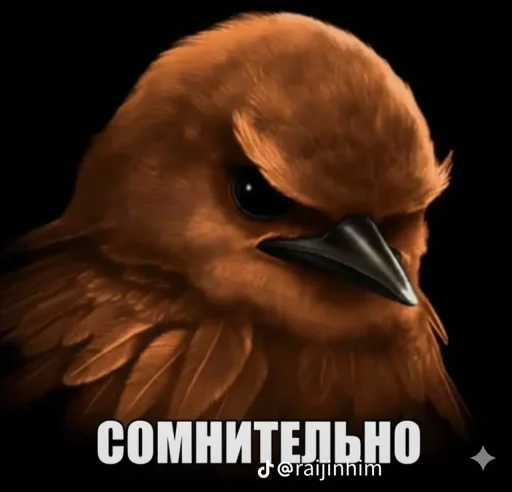 Эмодзи Блотные и крутые птички🏳️