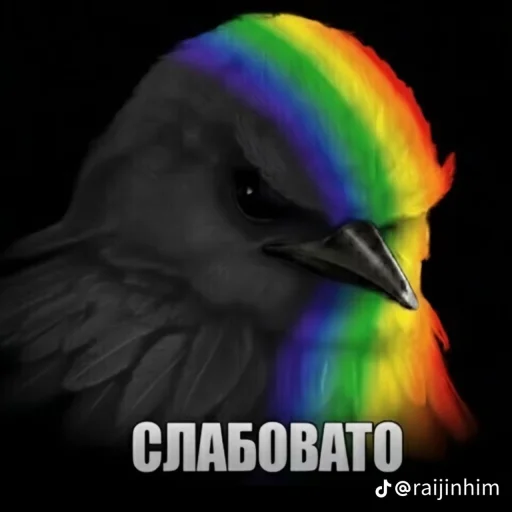 Эмодзи Блотные и крутые птички🏳️