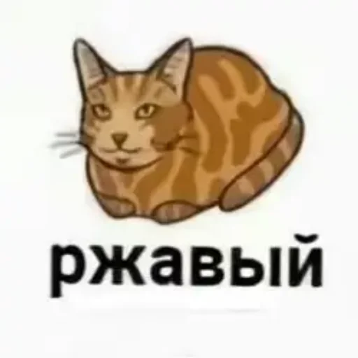 Эмодзи котики