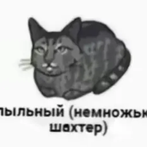 Эмодзи котики