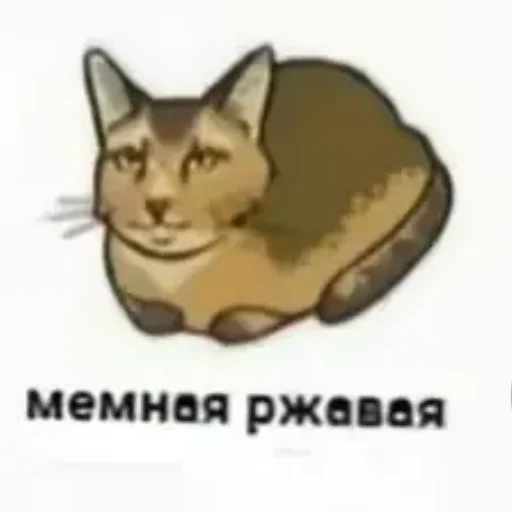 Эмодзи котики