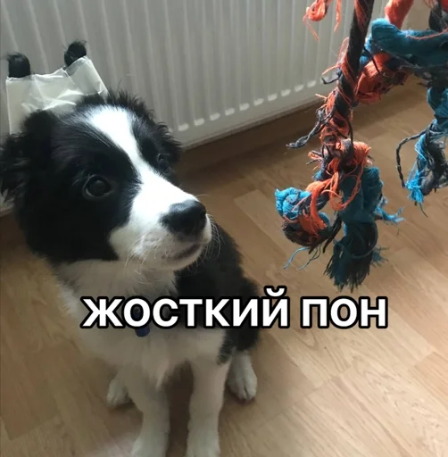 Эмодзи каору