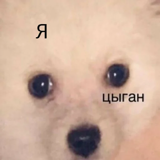 Эмодзи Каросука2