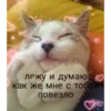 Эмодзи kartinochki meow 8