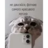 Эмодзи kartinochki meow 8