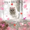 Эмодзи kartinochki meow 8
