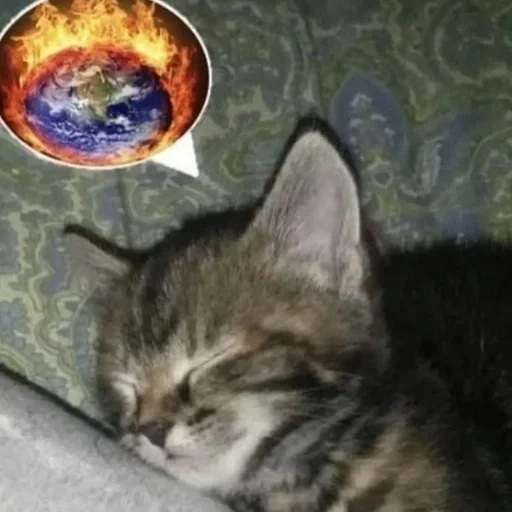 Эмодзи котёнок няша