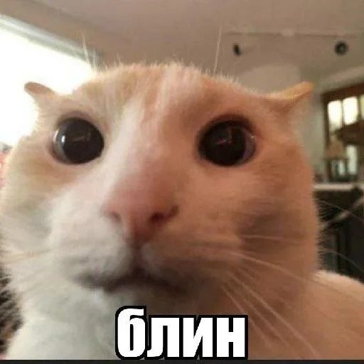 Эмодзи раздал стиля
